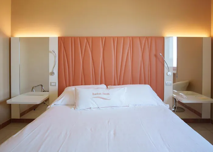 巴里翁会议酒店 酒店