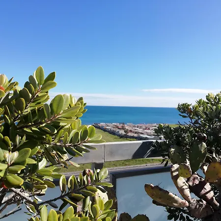 Barion & Congressi Hotel