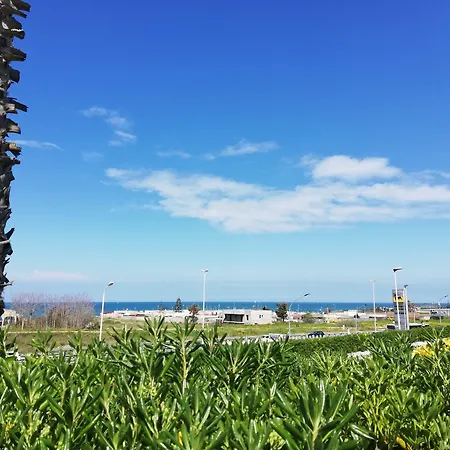 Barion & Congressi 4*